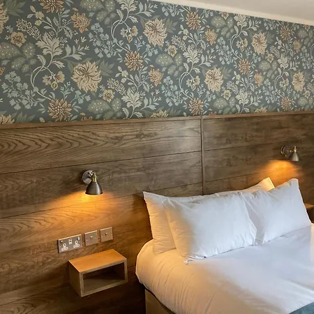 بلو بيل لودج فندق مدليسبره