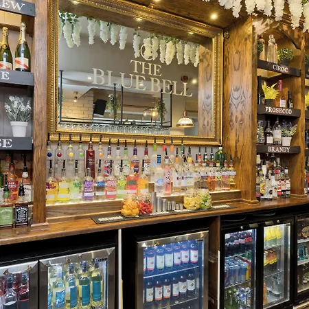 بلو بيل لودج مدليسبره